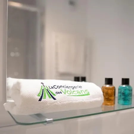 #fontgieve#centre/fibre Optique/lumineux/paisible Apartmán Clermont-Ferrand