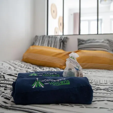 #fontgieve#centre/fibre Optique/lumineux/paisible Apartment Clermont-Ferrand